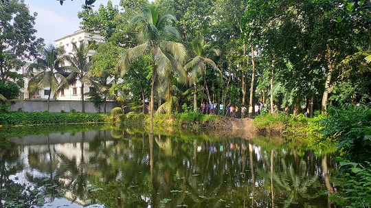 image-here